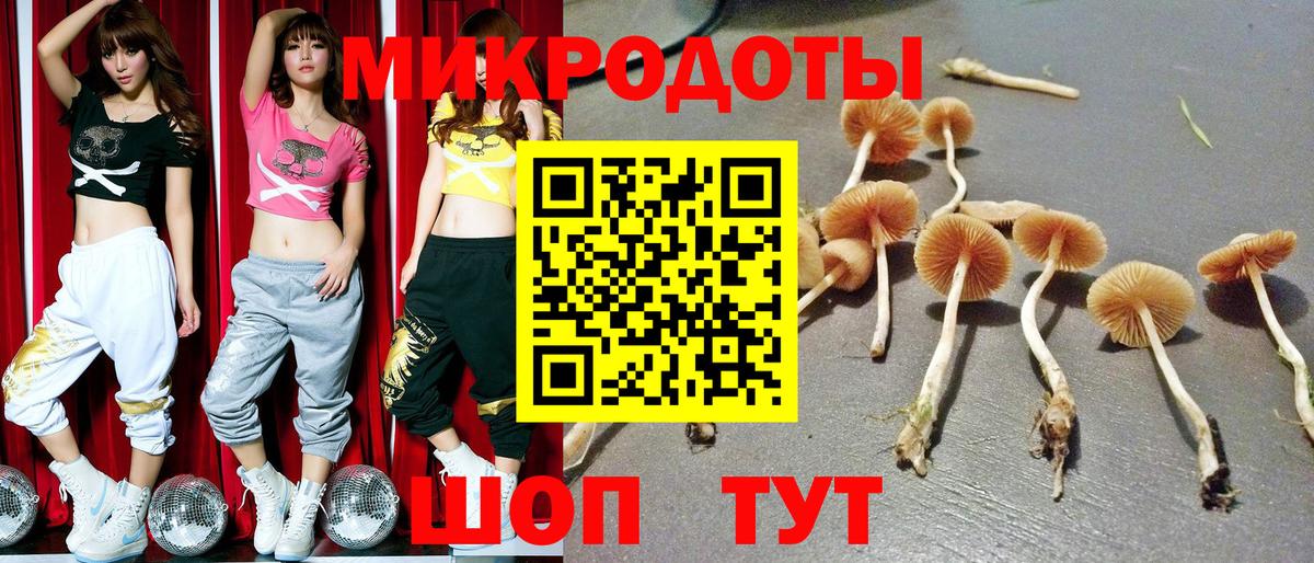 Галлюциногенные грибы мицелий  цены   Коркино  Вход с VPN  Псилоцибиновые грибы мухоморы 
