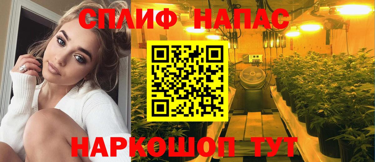 Каннабис марихуана Коркино